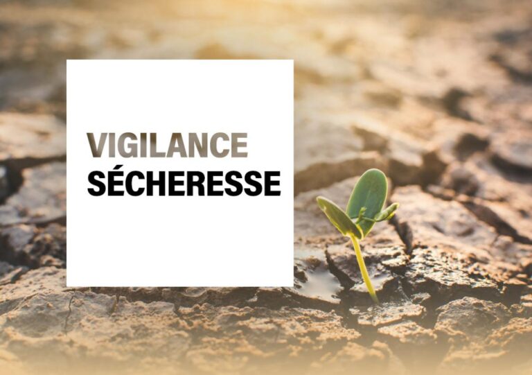 Loir-et-Cher : vigilance rouge et prévention incendie pendant les récoltes